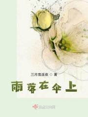 雨落在伞上