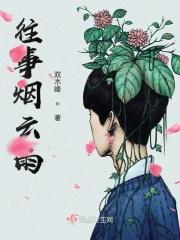 往事烟云雨
