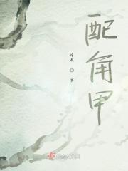 配角甲