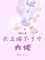 天上掉下了个大佬