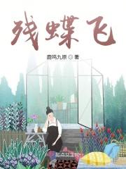 残蝶飞