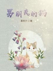 男朋友的猫